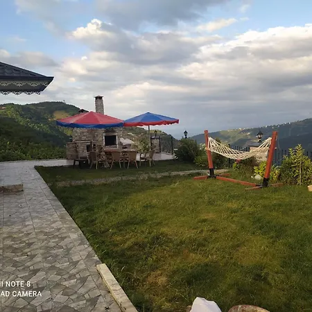 Deluxe Panorama 61