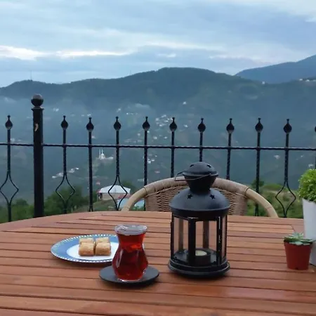 Deluxe Panorama 61 * Trabzon