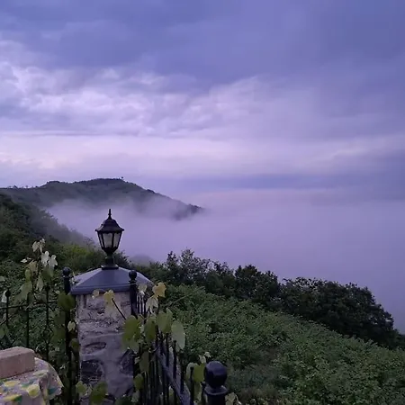 Deluxe Panorama 61 Villa Trabzon