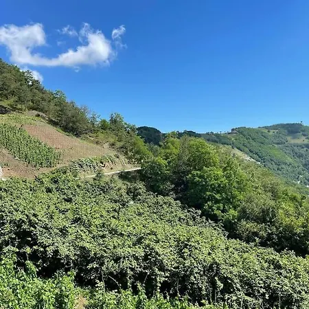 Deluxe Panorama 61 * Trabzon