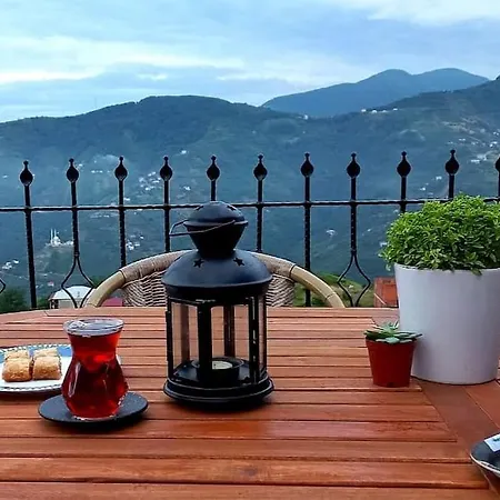 Deluxe Panorama 61 * Trabzon