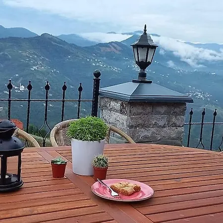 Deluxe Panorama 61 * Trabzon