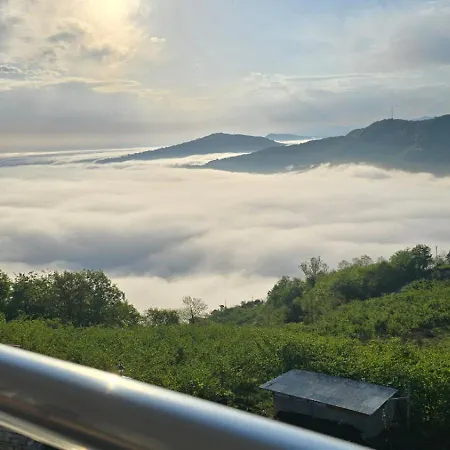 Deluxe Panorama 61 Trabzon